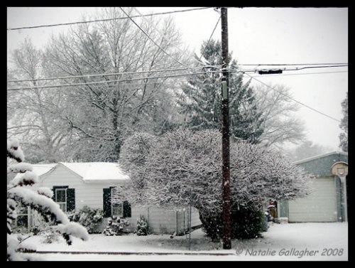 Suburban Seasons - Winter